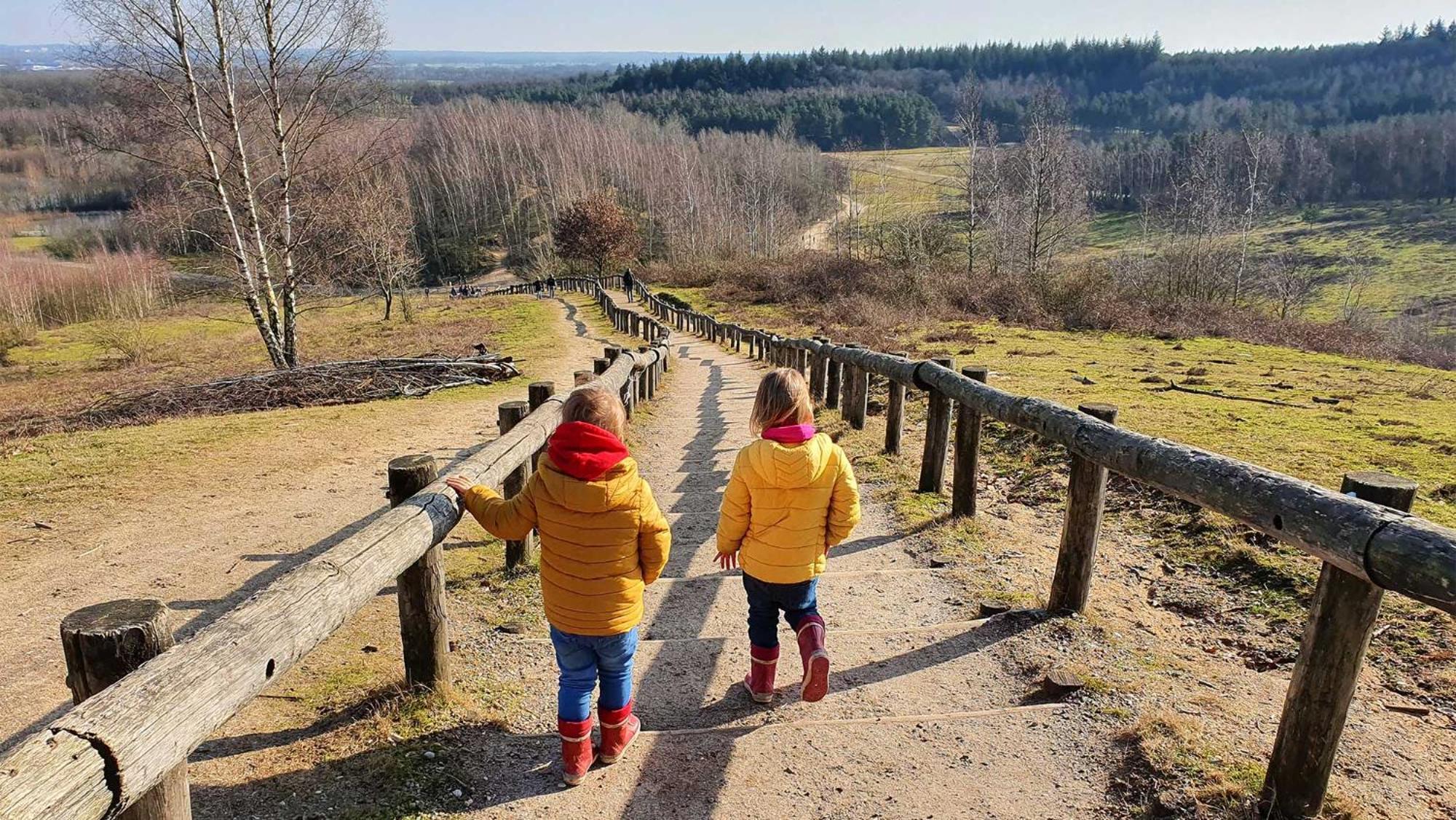 Molecaten Park Landgoed Ginkelduin Leersum Exterior foto